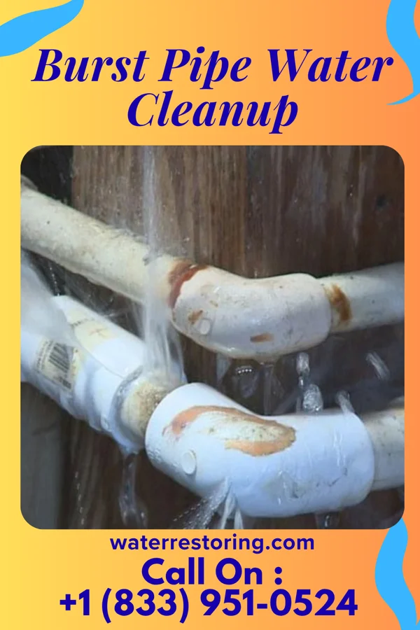 Burst Pipe Water Cleanup in East Stroudsburg, PA