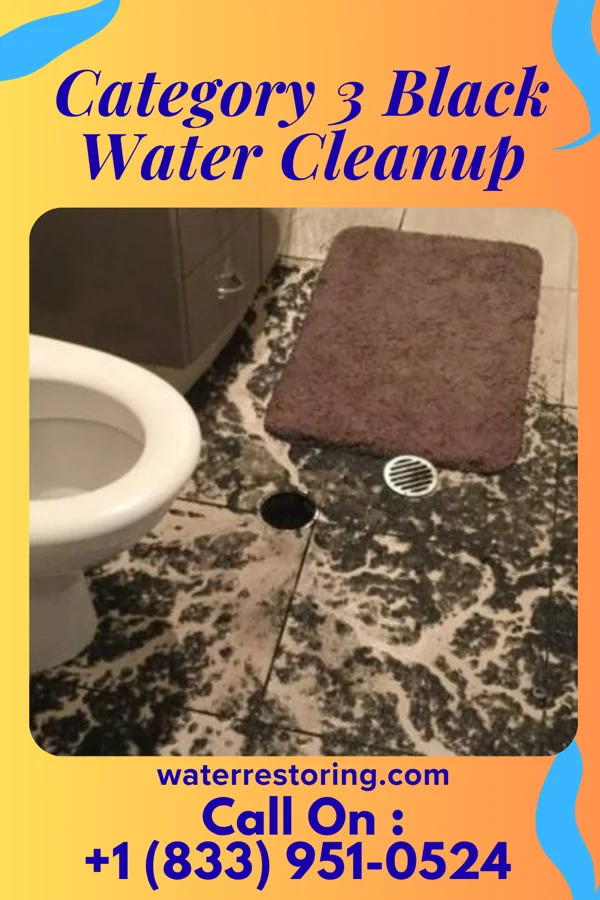 Category 3 Black Water Cleanup in East Stroudsburg, PA