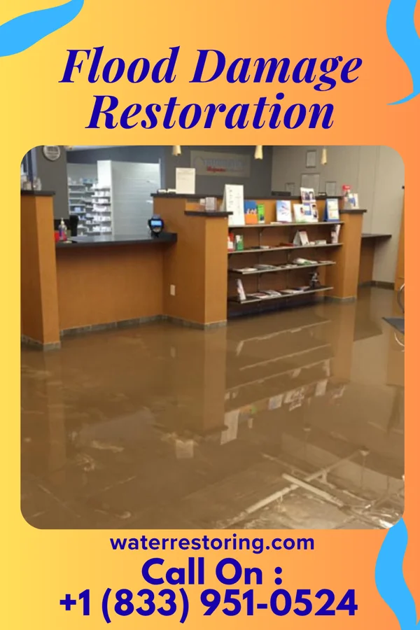 Flood Damage Restoration in East Stroudsburg, PA