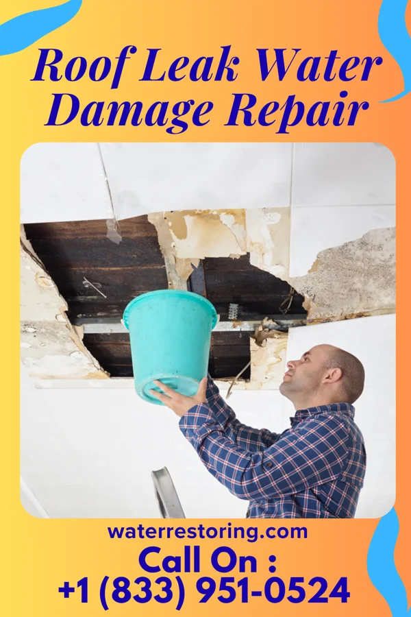 Roof Leak Water Damage Repair in East Stroudsburg, PA