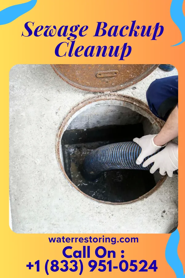 Sewage Backup Cleanup in East Stroudsburg, PA