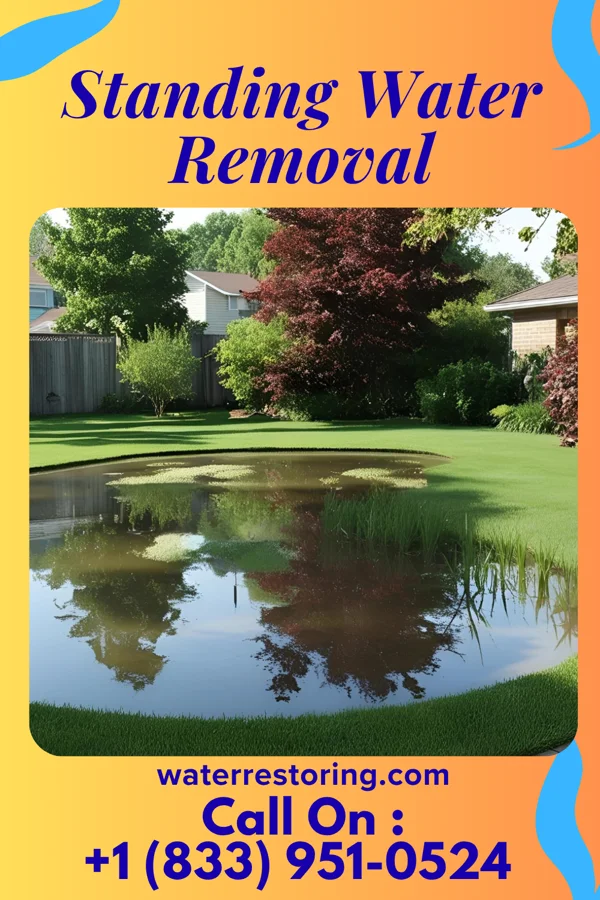 Standing Water Removal in East Stroudsburg, PA